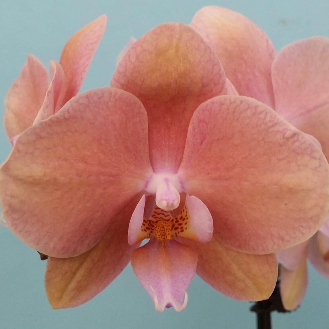 user_ee23f7bd様 リクエスト 3点 まとめ商品　メルカリ便