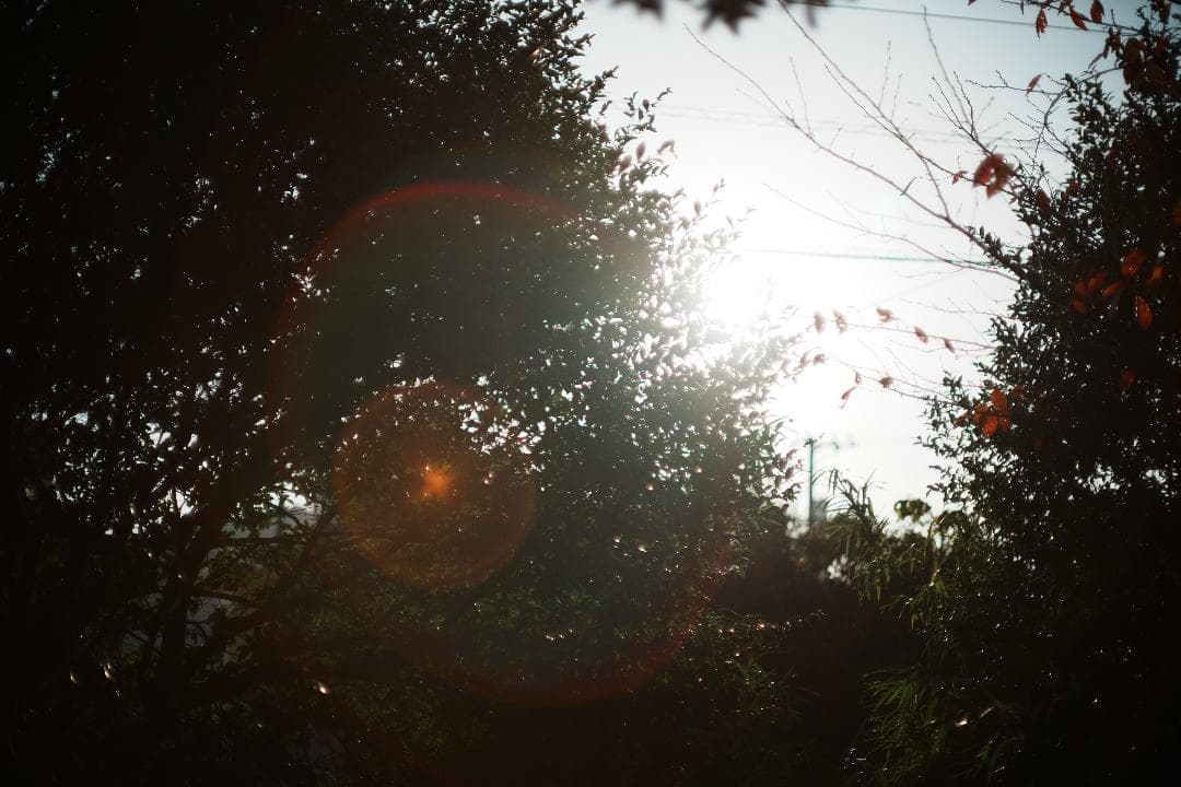 アダプター Minolta MC-ROKKOR PG 58mm F1.2 891