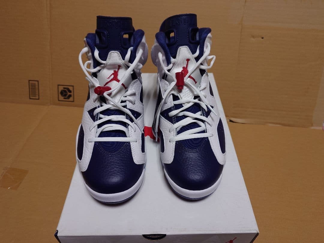 送料込 AIR JORDAN 6 RETRO　CT8529-164