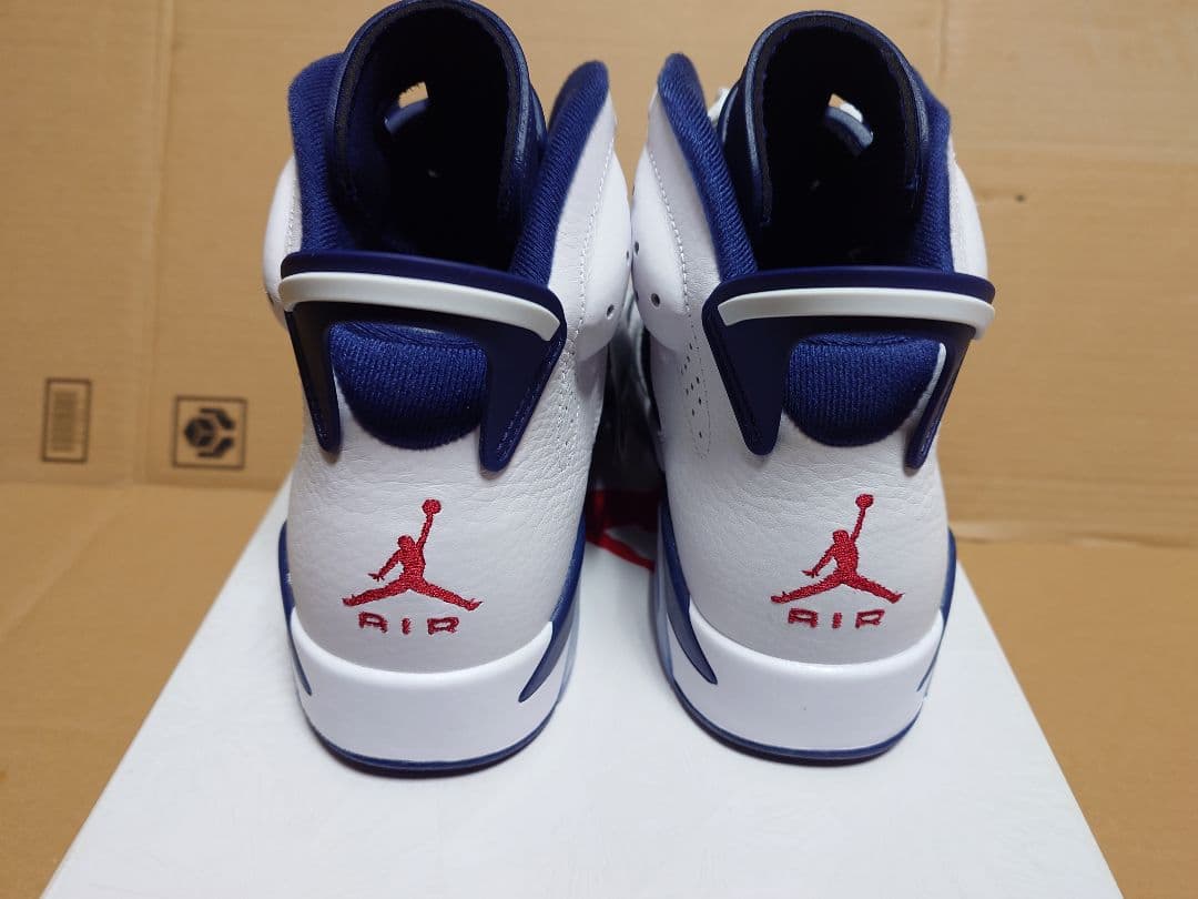 送料込 AIR JORDAN 6 RETRO　CT8529-164