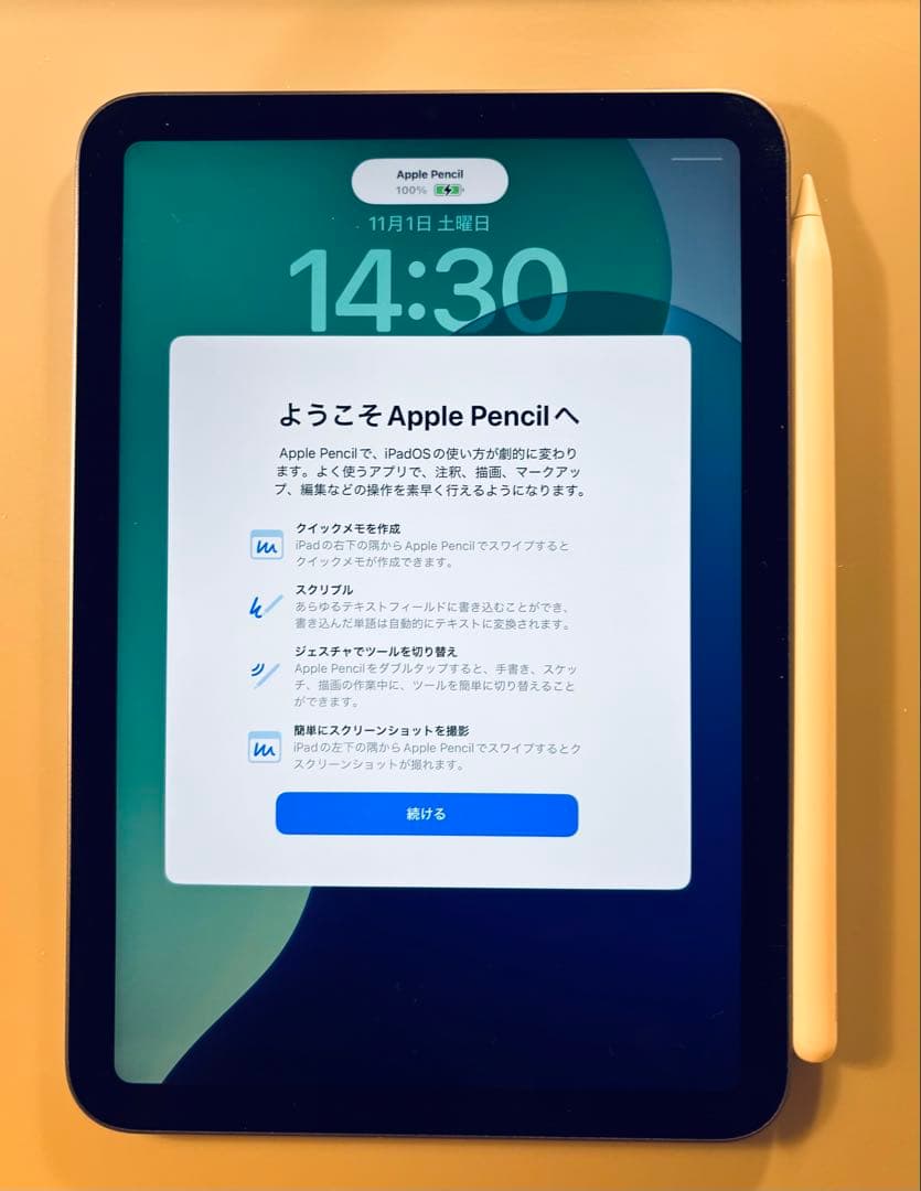 と*ん様 【美品】iPad mini第6世代+Apple Pencil第2世代