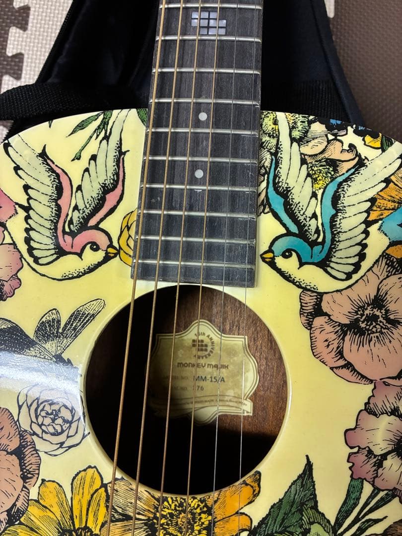 MONKEY MAJIK 15th Anniversary ギター