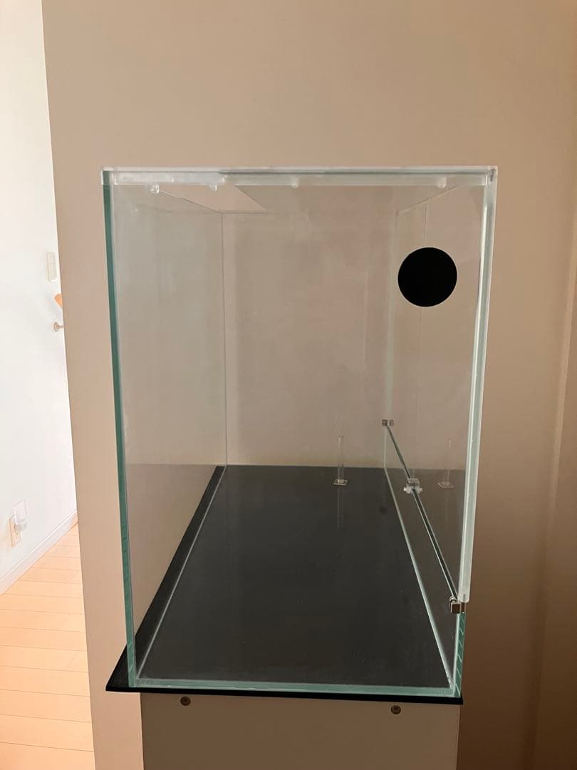 引取限定ADA DOOA ネオグラスパルダ600