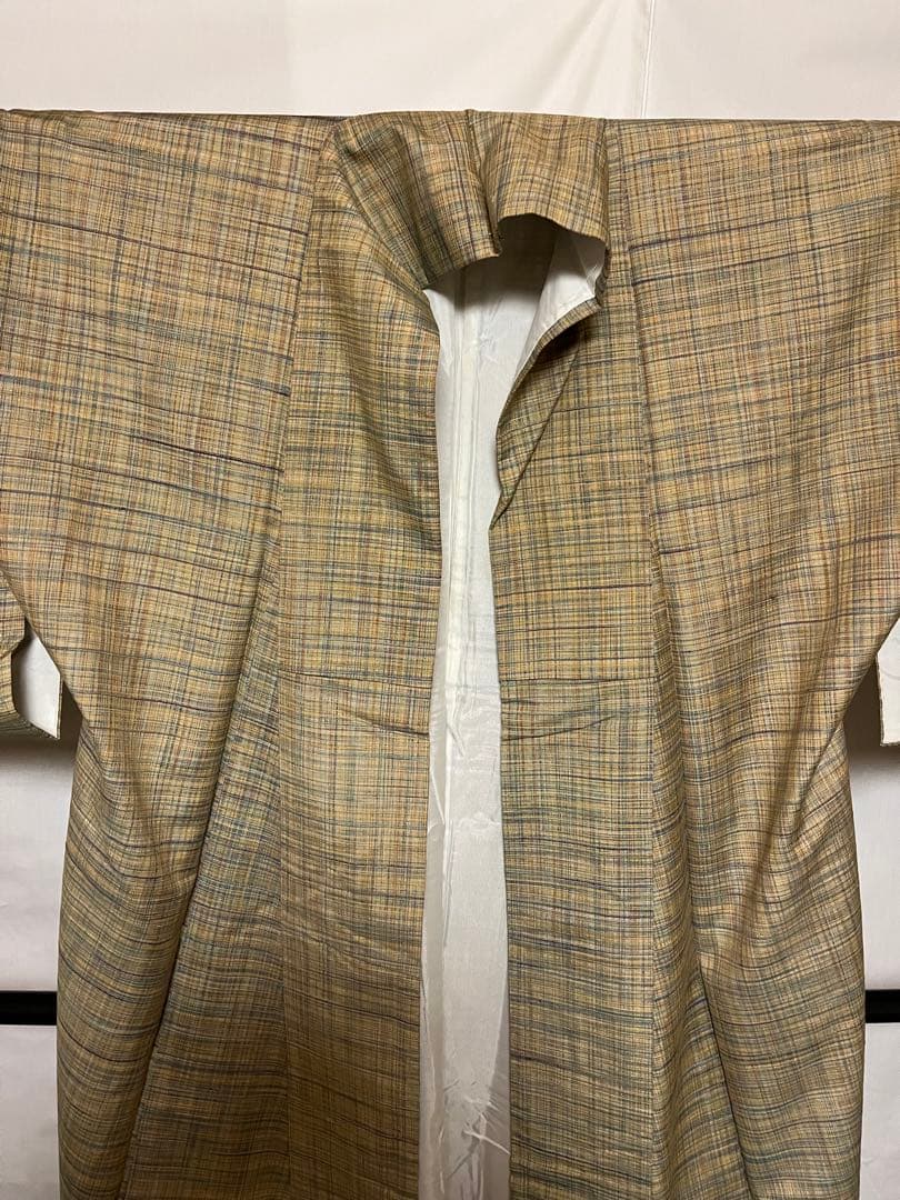 ☘️早い者勝ち☘️【超絶至宝品】●岐阜県無形文化財【郡上紬】●手引真綿●草木染●紬