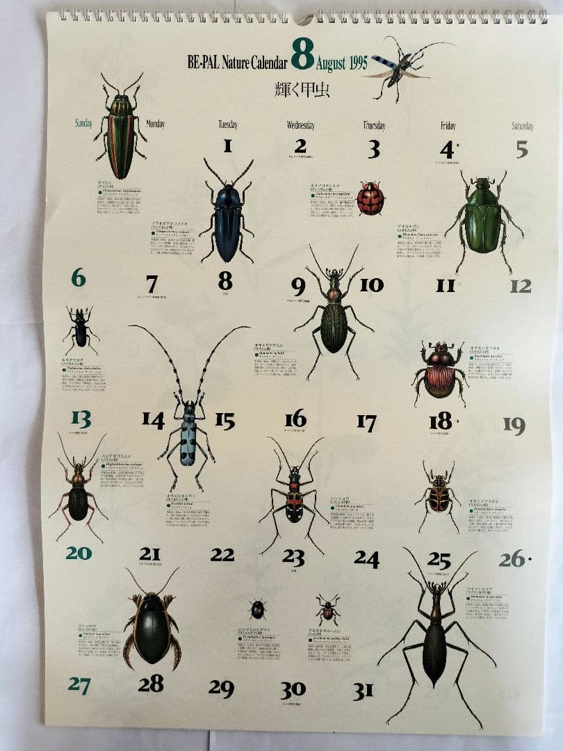 BE-PAL ビーパル カレンダー 新品未使用 1995年　ヴィンテージ
