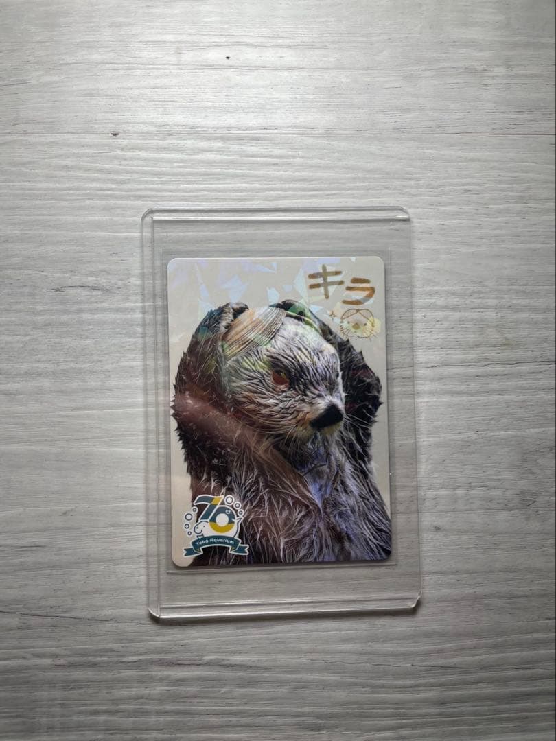 鳥羽水族館　コレクションカード　メイちゃんとポテト他4枚セット