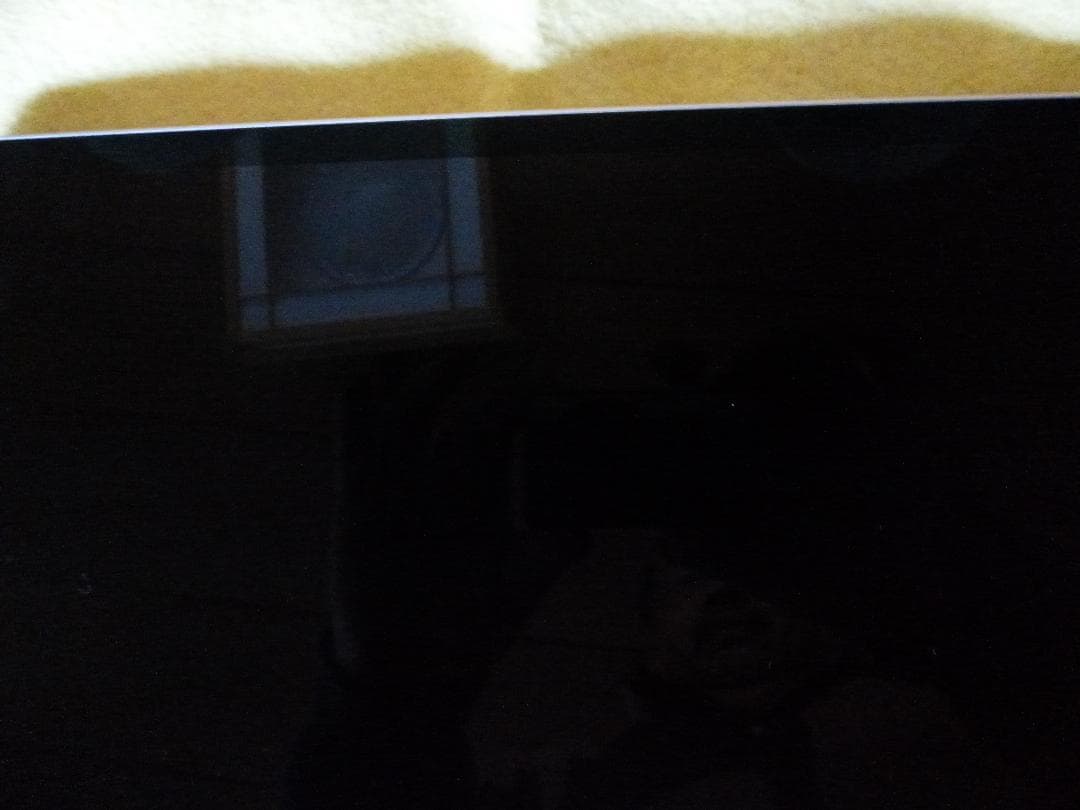 iPad Pro 12.9 第5世代 512GB Cellular+Wi-Fi