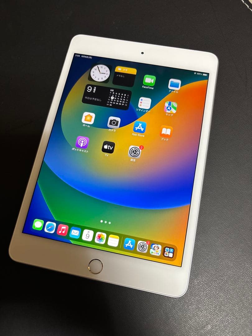 Apple iPad mini 5 セルラー 第5世代 64GB sim解除