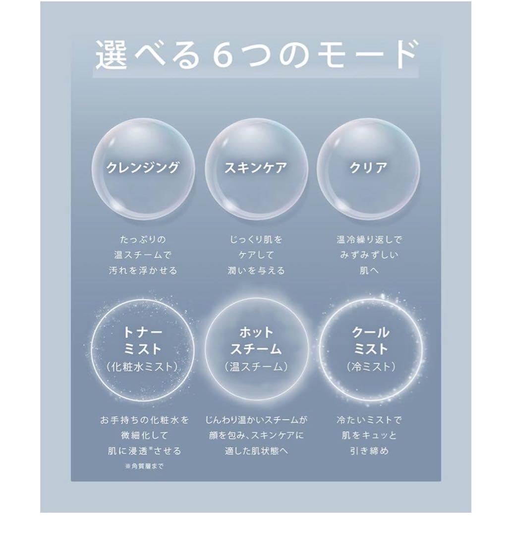 SALONIA PURE BRIGHT STEAMER グレー