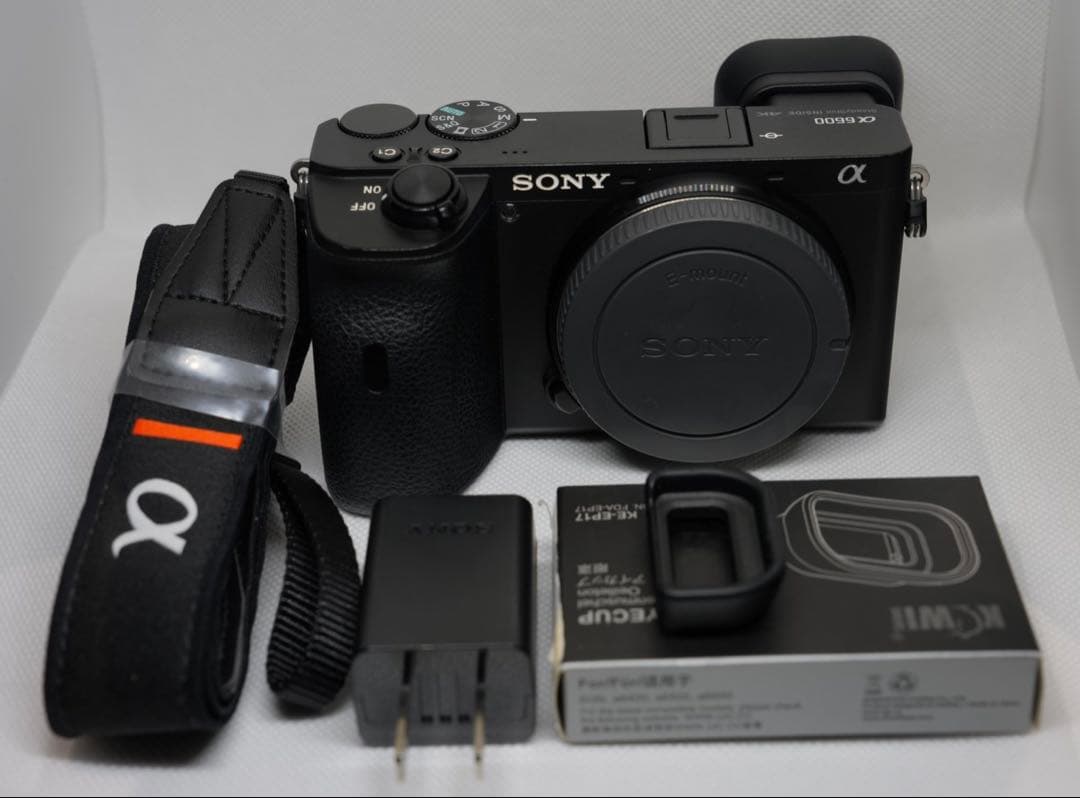 SONY α6600 ミラーレスカメラ 本体 バッテリー付き