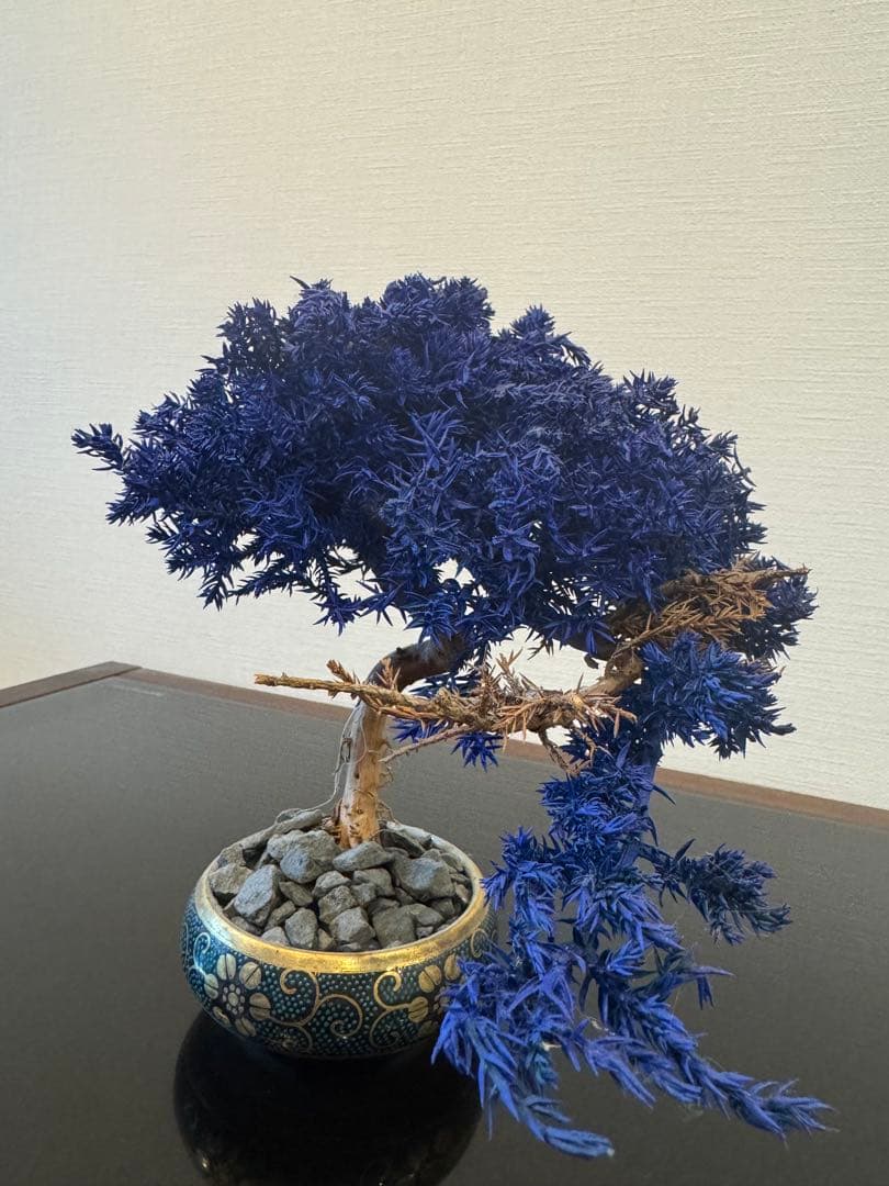 【激レア】RE BONSAI 九谷焼 RE盆栽 青【Man 岩本照愛用】