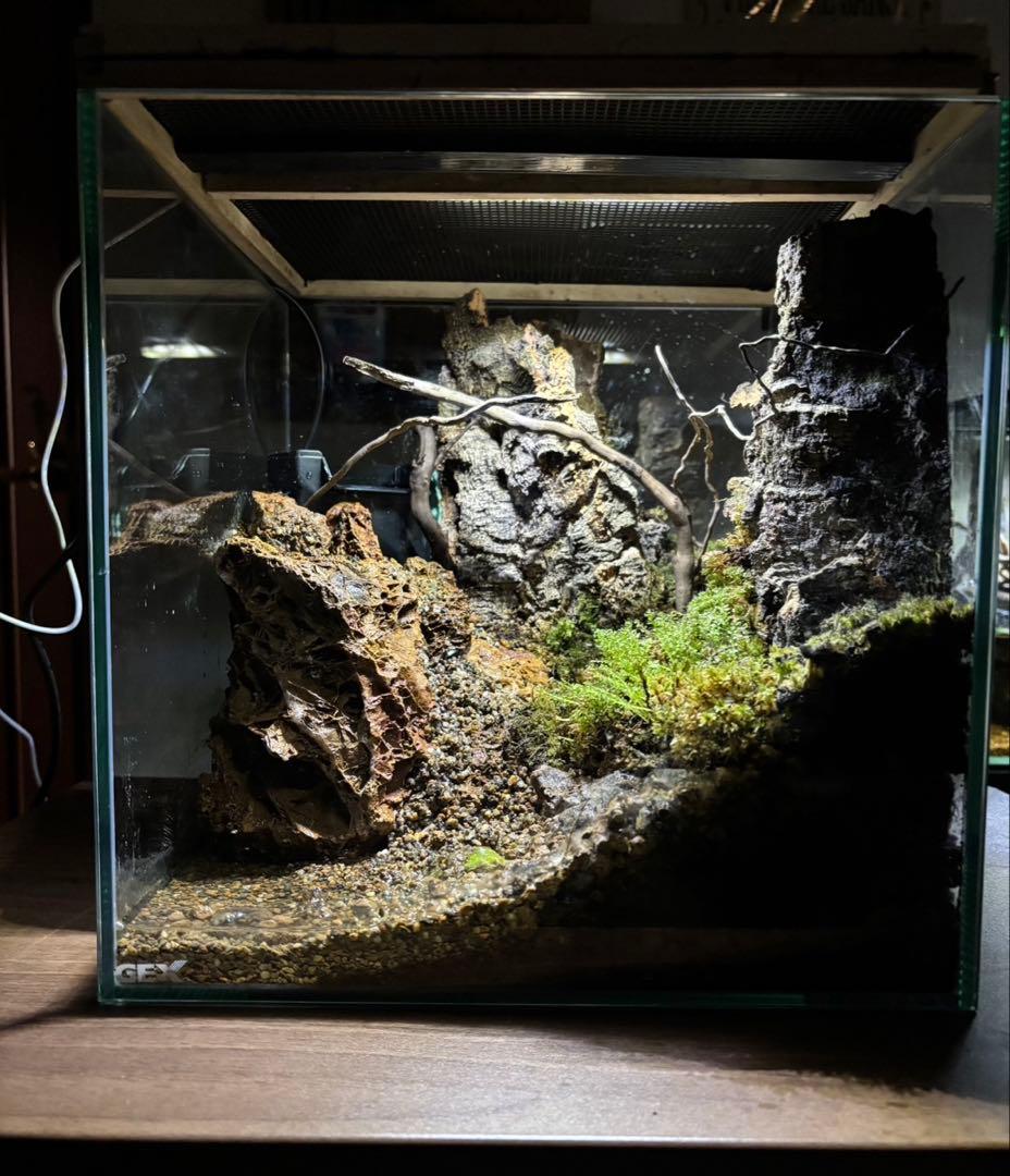 【滝の流れるアクアテラリウム】 30cmキューブガラス水槽レイアウト