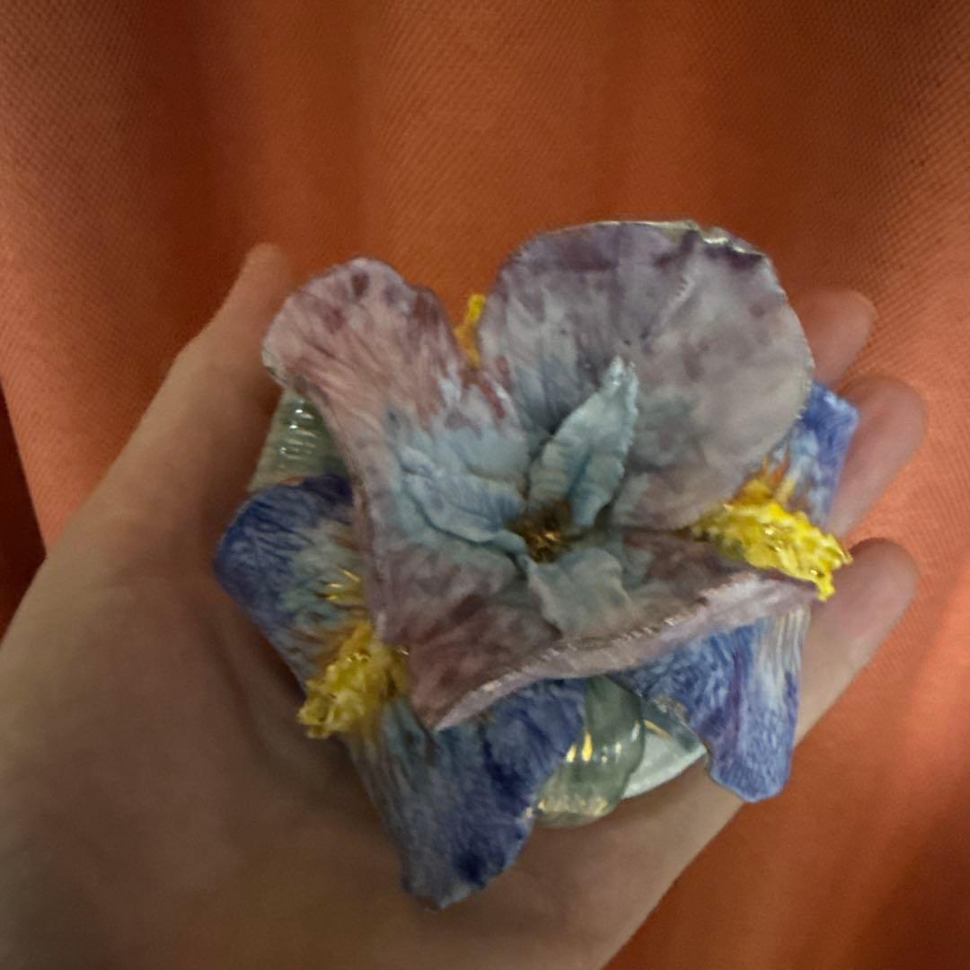 アイリスボックス . 新しいコレクション