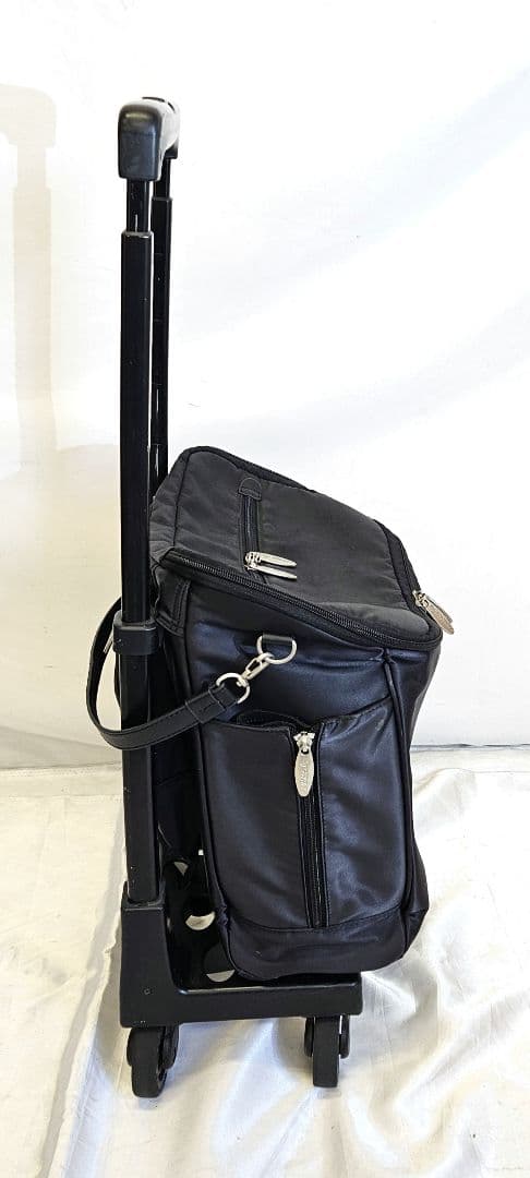 SWANY　スワニー　キャリーカート　キャリーバッグ　取り外し可能