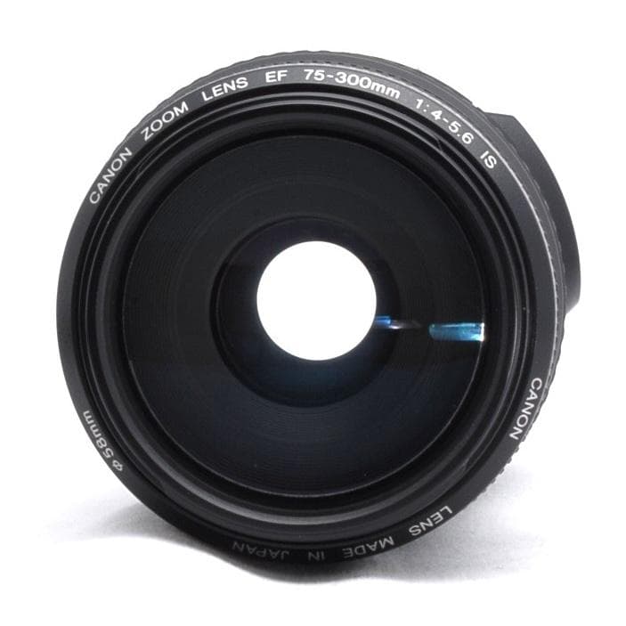 ★超望遠★Canon EF 75-300mm IS USM★美品★フルサイズでも