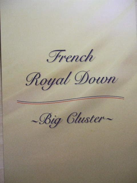 残り1点激安価格！新品＊ロイヤル＊フランス９３％＊増量１，３キロ＊羽毛布団ＳＰ