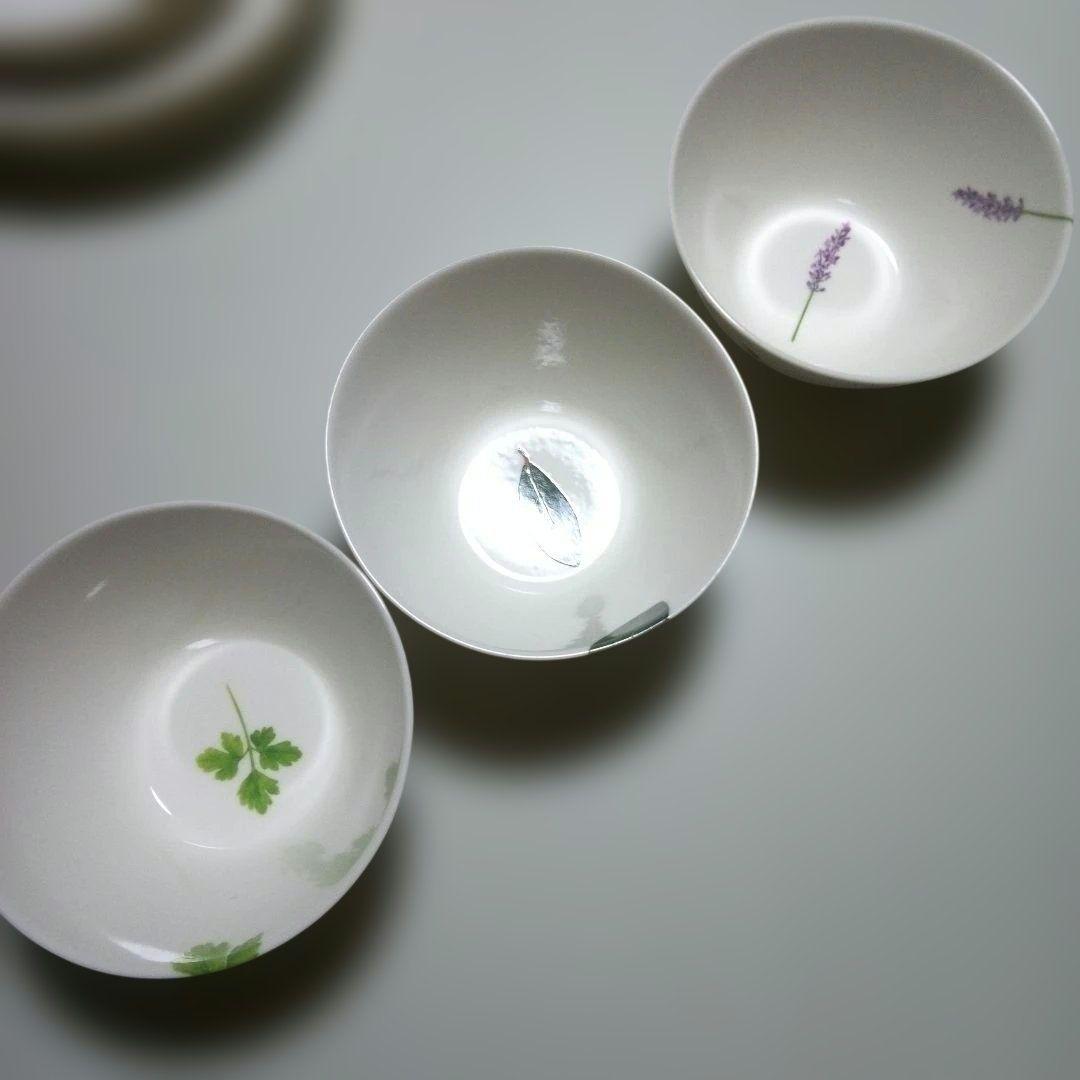 LA AMYS　ラ・エミーズ　ハーブデザイン食器セット 12点　 新品未使用