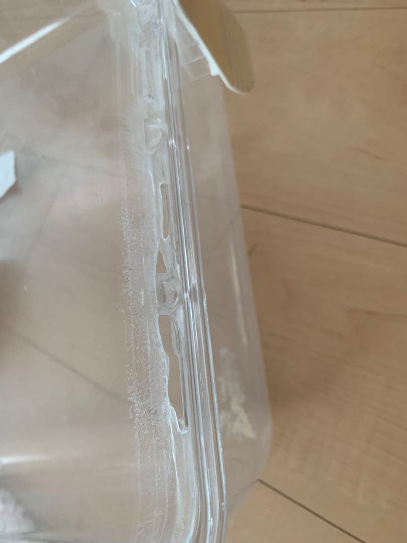 ルーミィ60 ベーシック　サイレントホイール　木のおうち　ハムスター　小動物