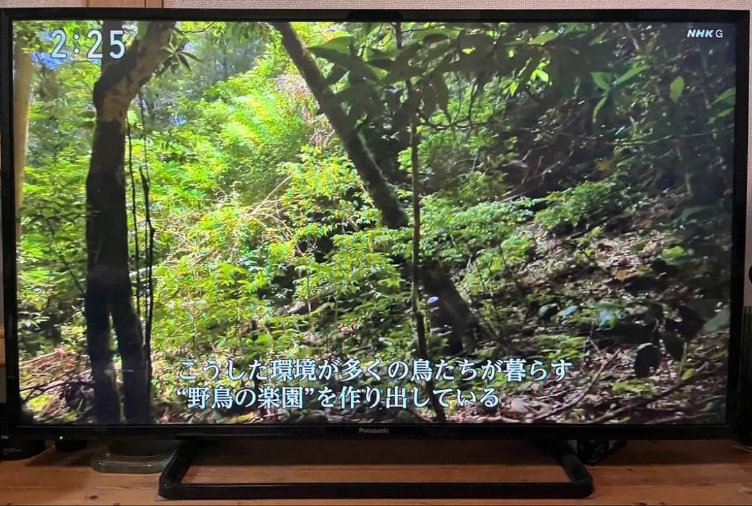 -2/11 限定値下げ！Panasonic TH-43E300 43インチテレビ