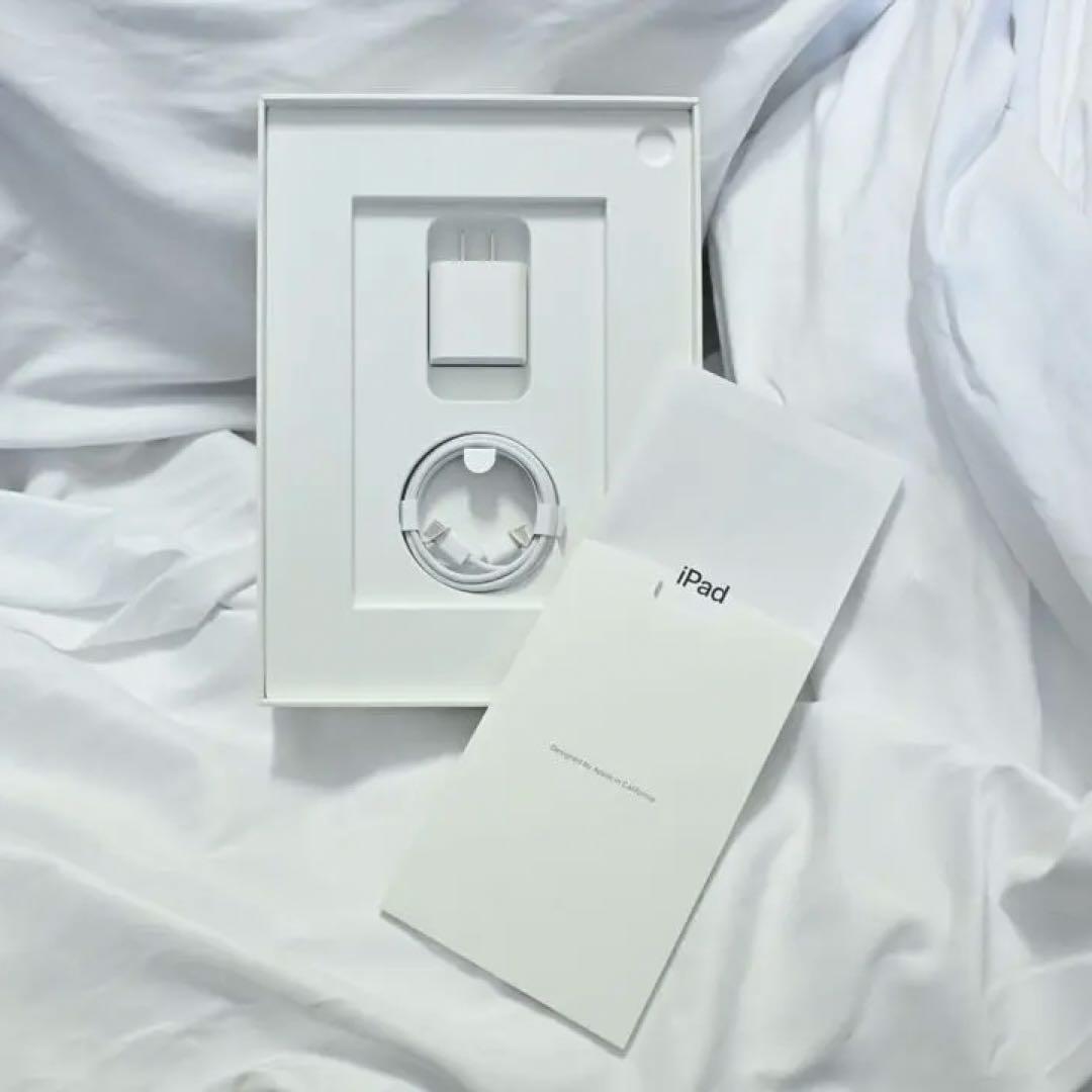 ほぼ未使用iPad（10世代）10.9インチApple Pencil付き 64G