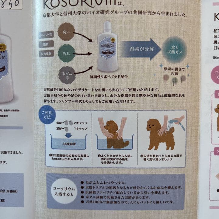 高濃度セラミドスプレー+コーソリウム+ティーツリーシャンプーコンディション