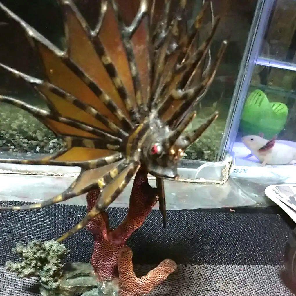 ステンドグラス（ミノカサゴ置物❄プロフ必読