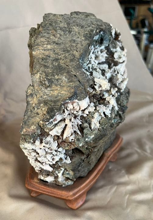 根尾谷　天然菊花石