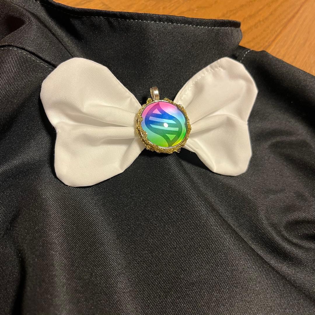 ポケモンZAハルジオ衣装フルセット