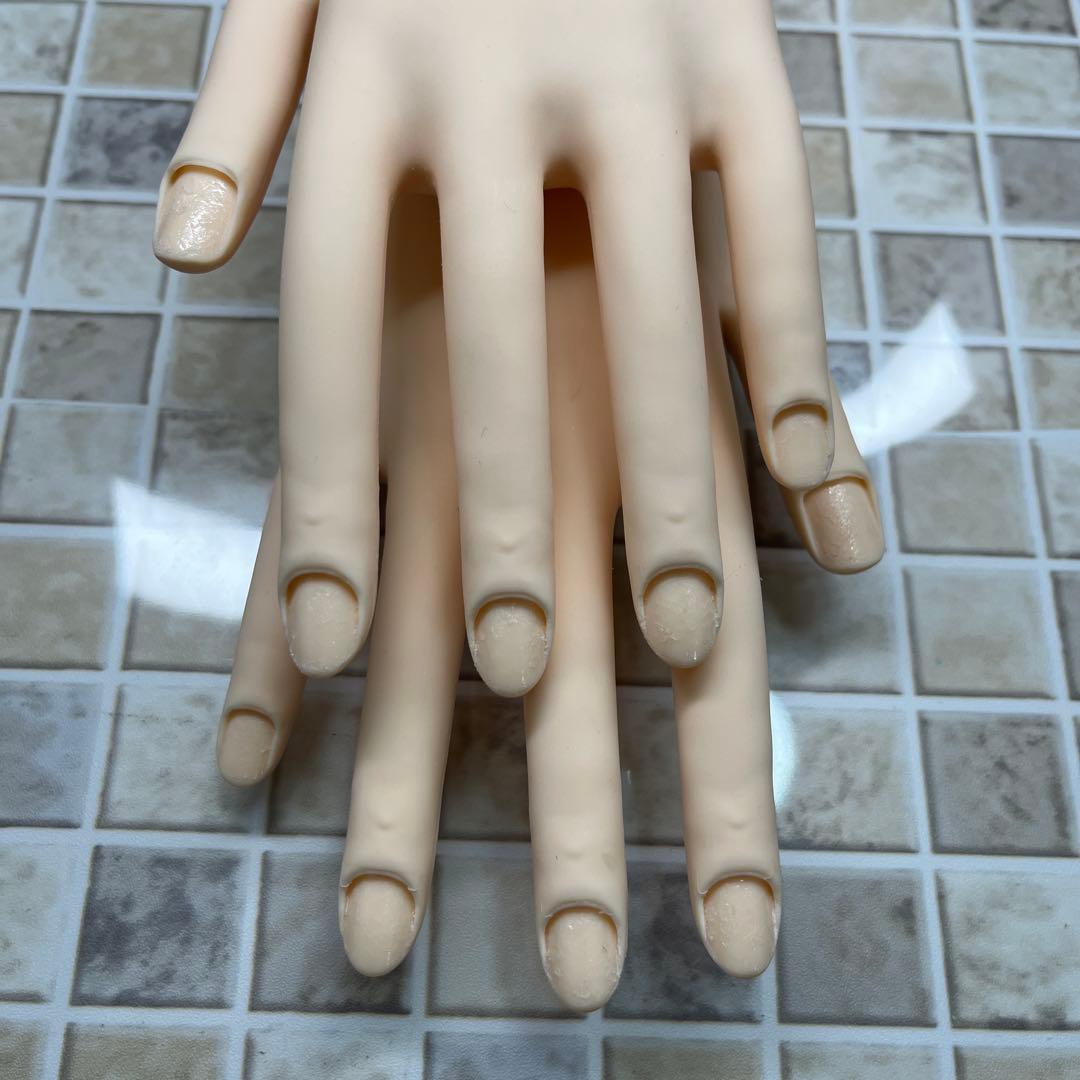 ネイルアート用モデルハンドセット　ST ◆モデルハンド