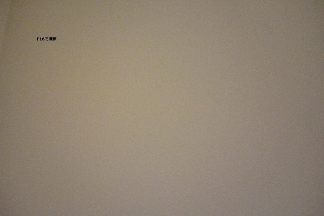 Sony RX1RM II デジタルカメラ おまけ付き