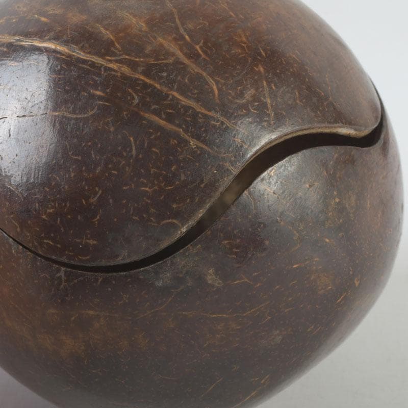 茶道具　椰子の実　内金溜　菓子器　時代箱　M　9853