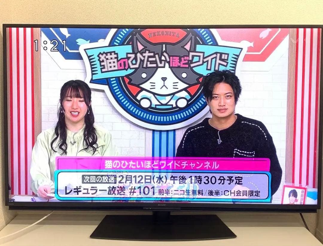 SHARP シャープ 55型 液晶テレビ 4T-C55DN1 2022年製