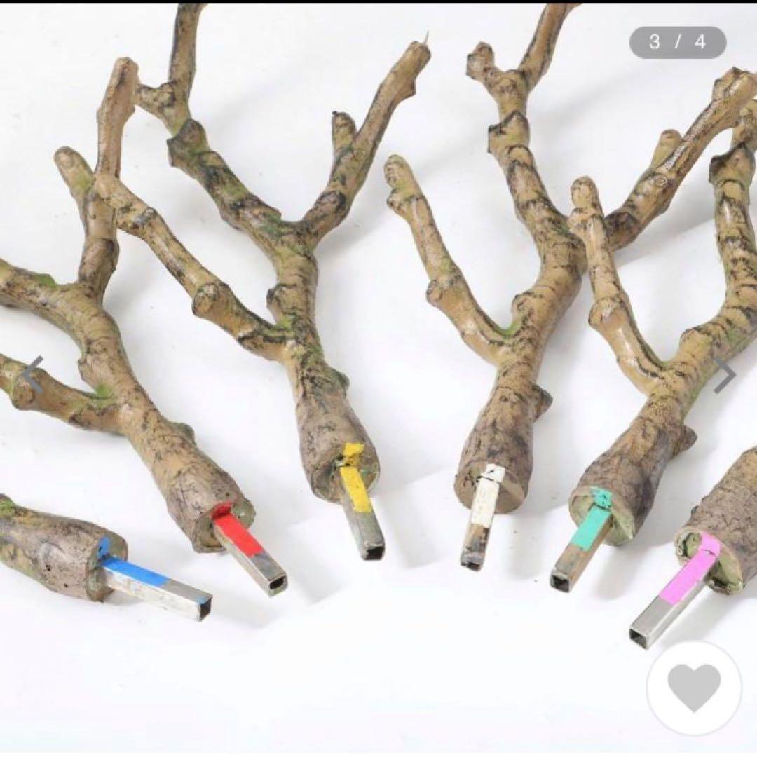 光触媒　人工観葉植物　ウォールグリーン　フェイクグリーン　トネリココアッド鉢付き