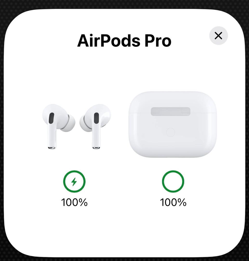 あめさん専用【イヤーチップ美品】AirPods Pro 第一世代 本体