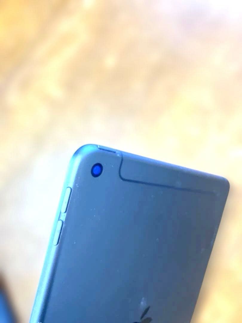 ろ*ー様 【訳あり】Apple iPad mini (第5世代) 256GB