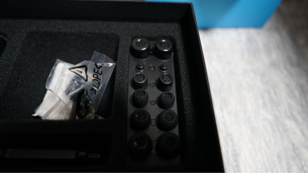 sennheiser ie600 最終値下げ