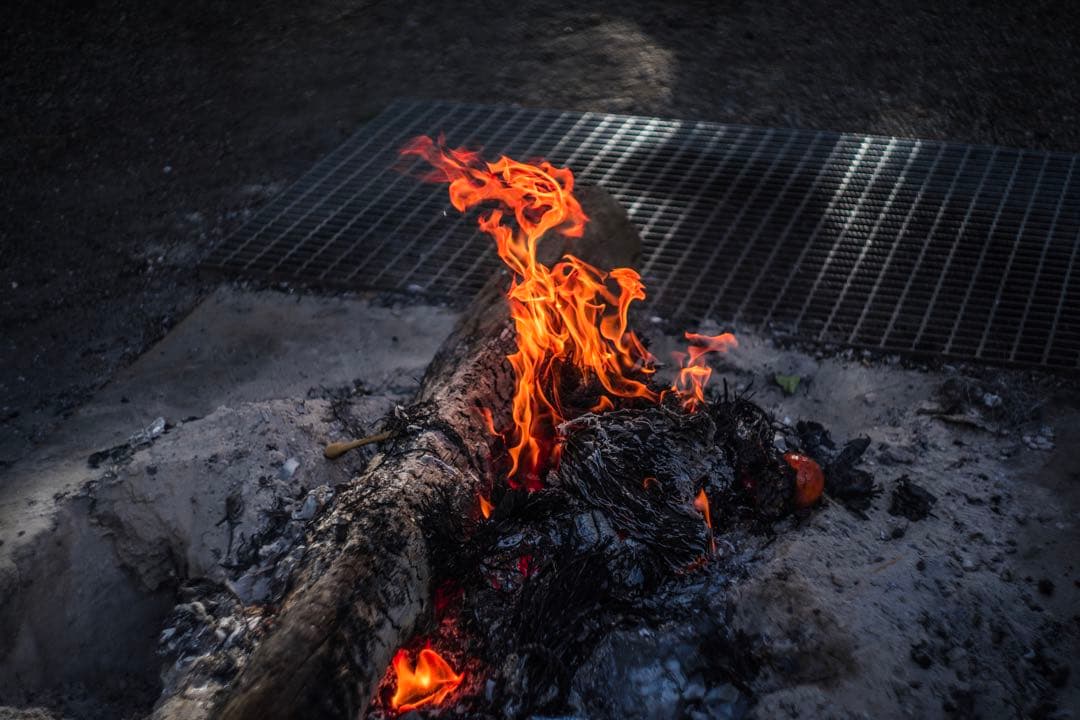 美品+ 分解清掃済 Helios-44-2 58mm f2 ぐるぐるボケ 1