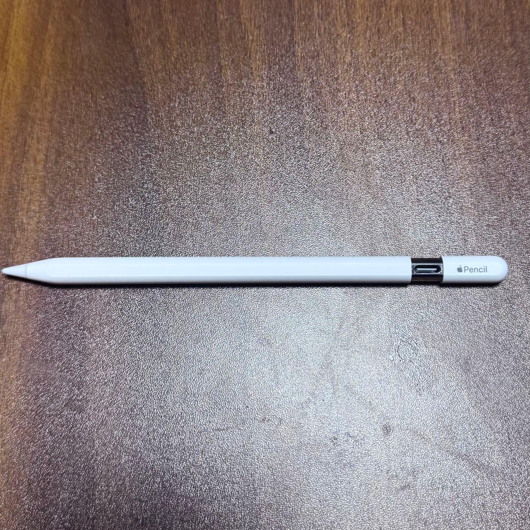 Apple Pencil (USB-C) アップルペンシル 純正