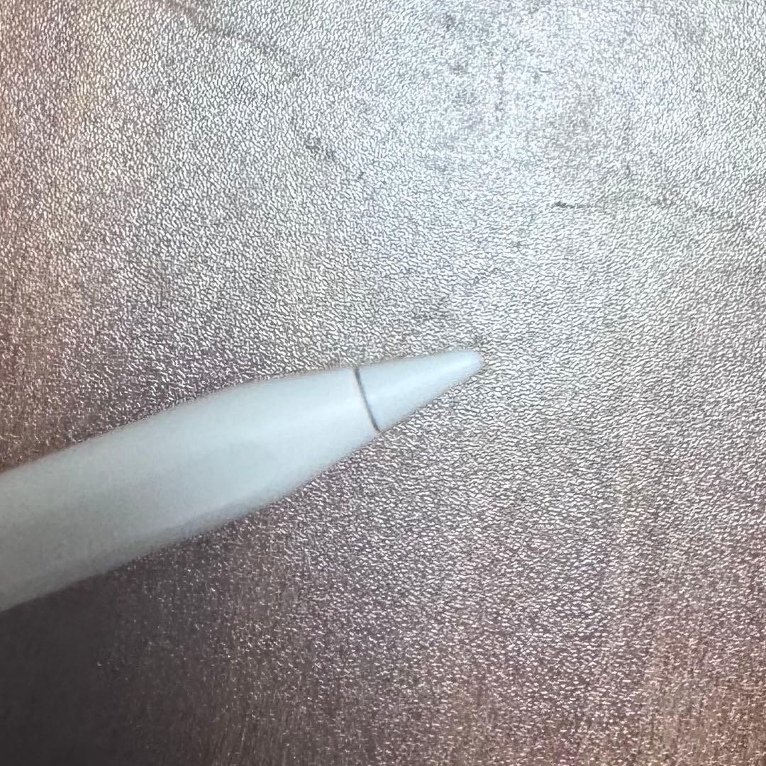 Apple Pencil (USB-C) アップルペンシル 純正