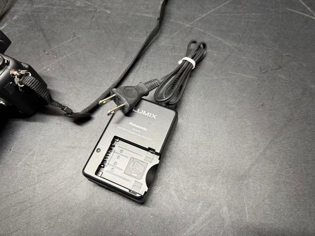 Panasonic LUMIX G2 DMC-G2 レンズキット