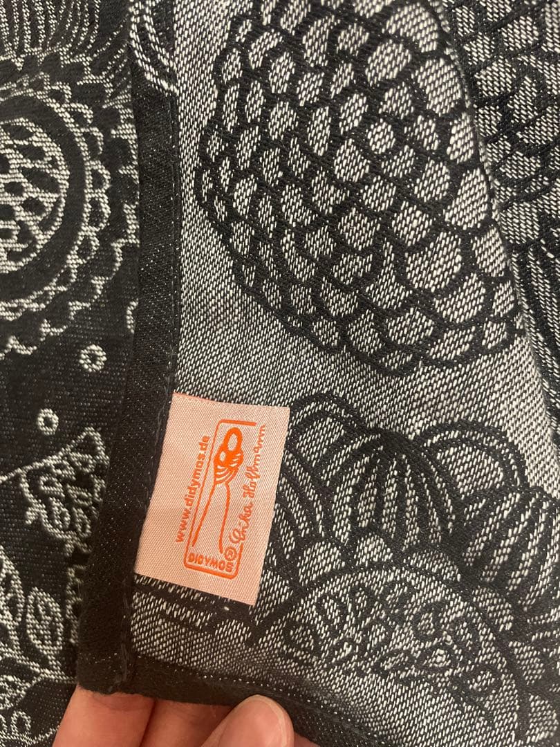 didymos 森の朝　ディディモス