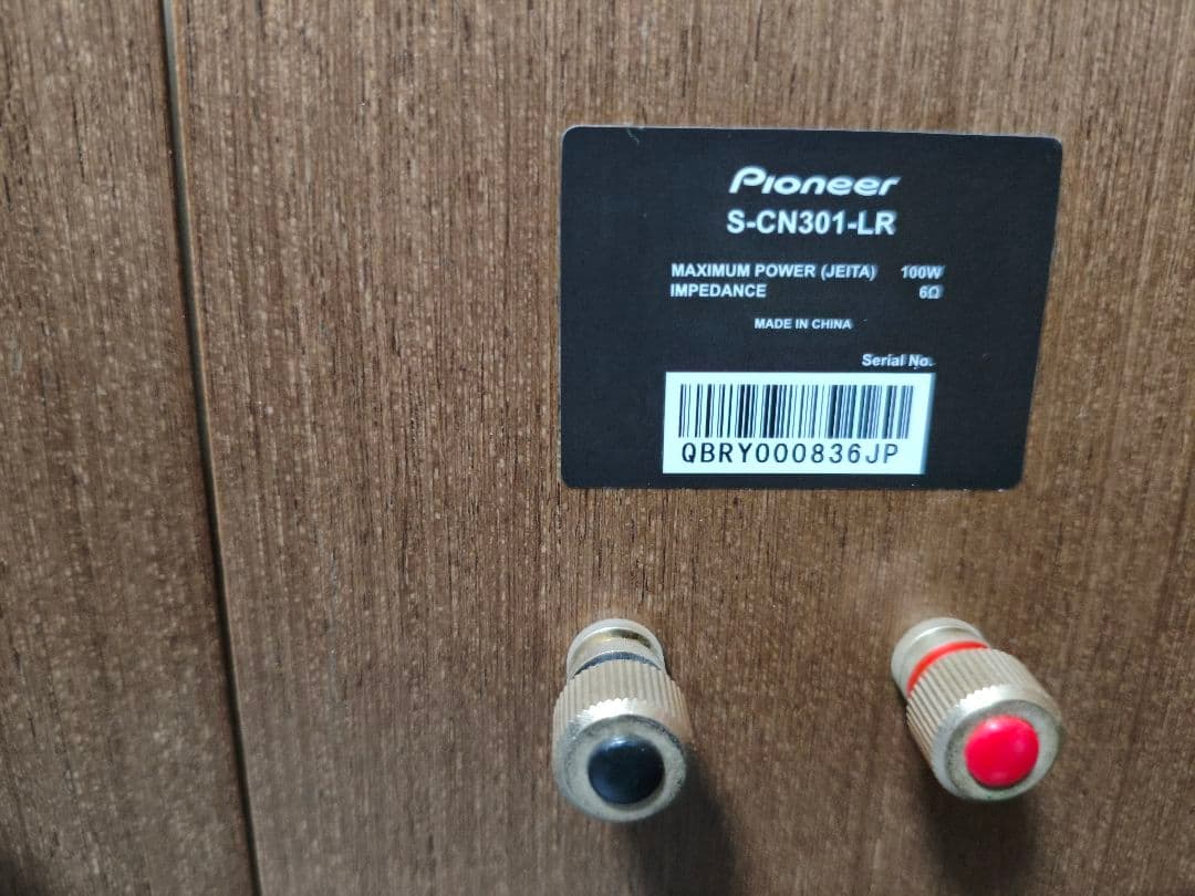 パイオニア S-CN301-LR 2ウェイスピーカーシステム Pioneer