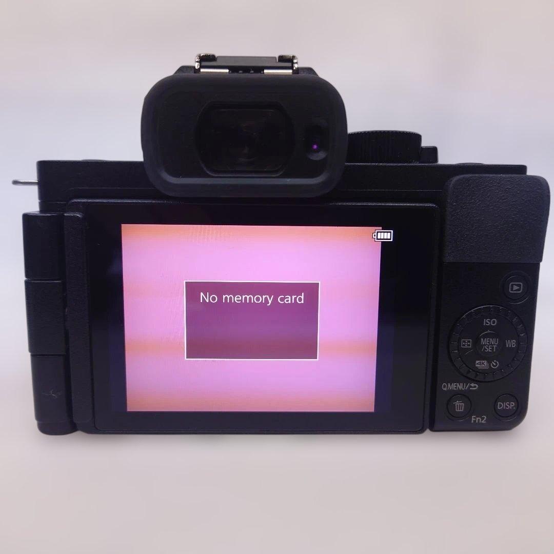 パナソニック LUMIX DC-G100 ミラーレス 一眼カメラ 充電器付き