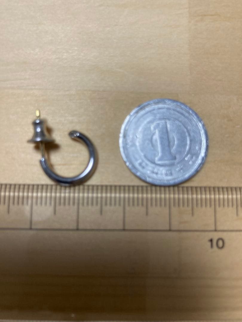 CAREERING｜PLACEBO（プラシーボ）ピアス　101