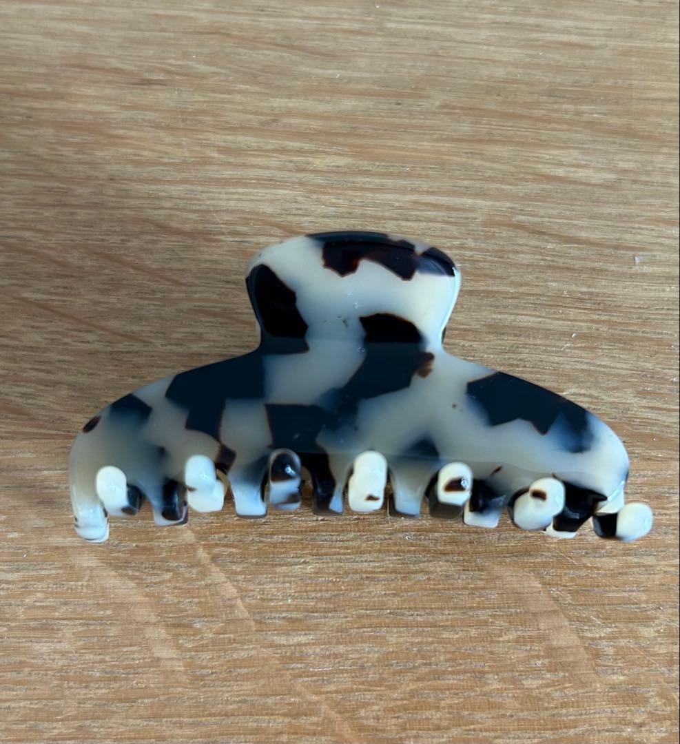 ALEXANDRE DE PARIS 　ヘアクリップ　ACCS-7704/G