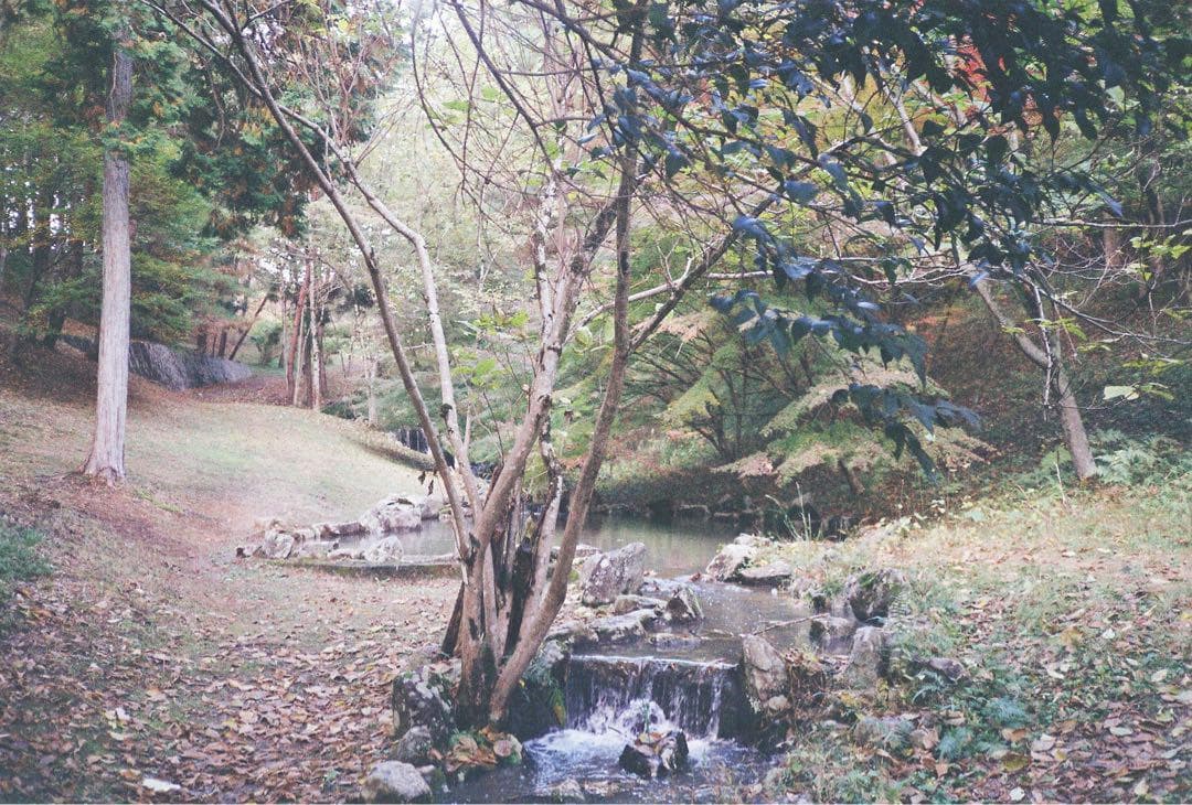 【完動品】Nikon L35AD ISO 1000 ピカイチ 動作確認済み