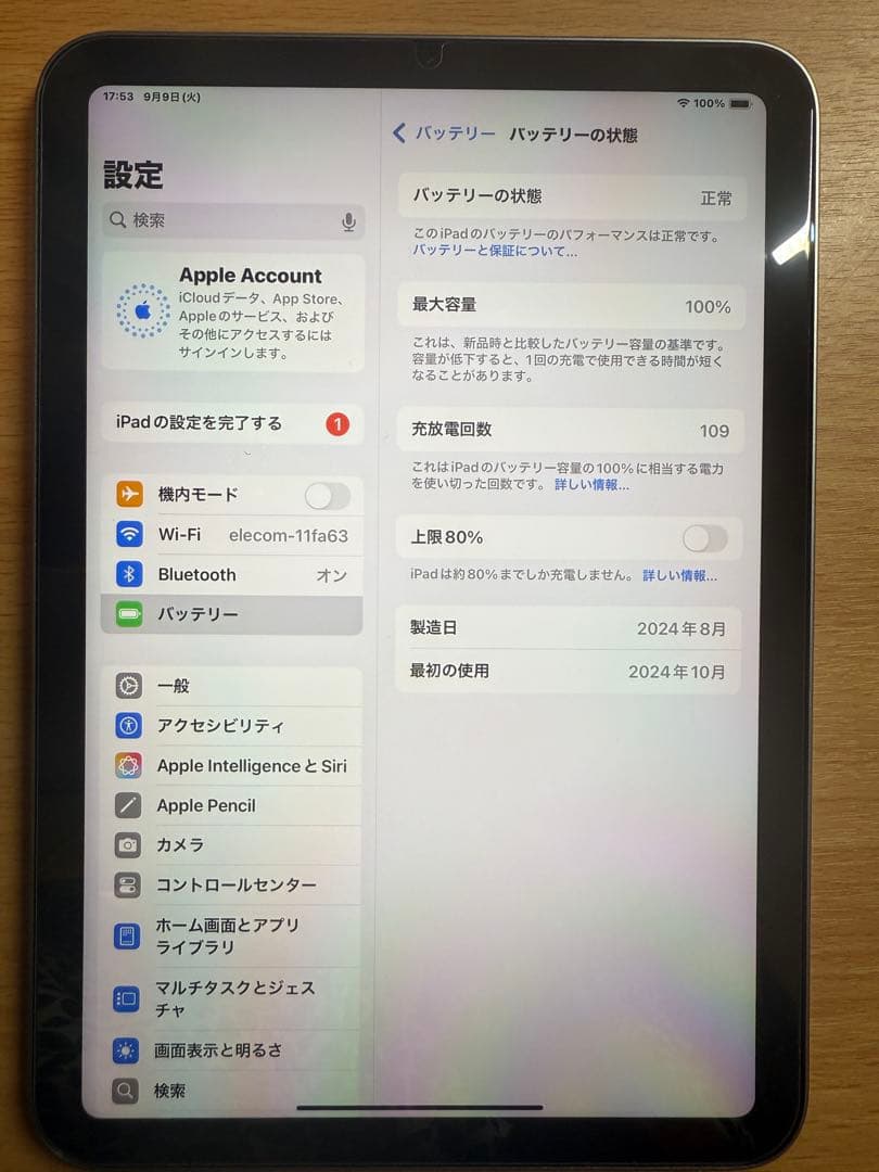 a*i様 iPad mini 7 & Apple pencil Pro