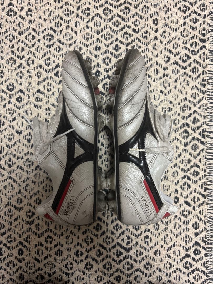 モレリア2　25cm