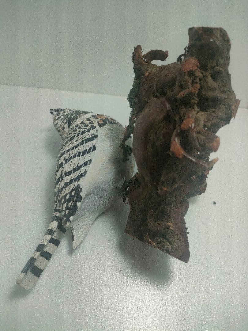 ヤマセミ　バードカービング