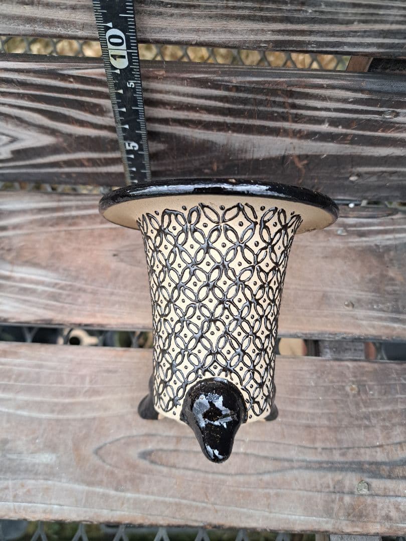 錦鉢　万年青　オモト　長生蘭　風蘭　古典植物　植木　観葉植物　インテリア　園芸